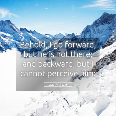 Picture 05 - Job 23:8 KJV - Behold, I go forward, but he is not there; and - Bible Verse Picture