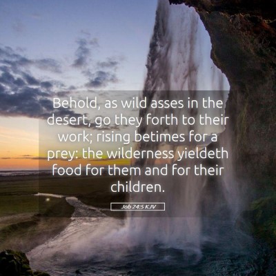 Picture 05 - Job 24:5 KJV - Behold, as wild asses in the desert, go they - Bible Verse Picture
