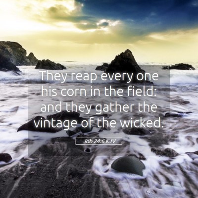 Picture 05 - Job 24:6 KJV - They reap every one his corn in the field: and - Bible Verse Picture