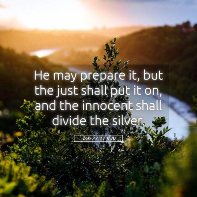 Picture 05 - Job 27:17 KJV - He may prepare it, but the just shall put it on, - Bible Verse Picture