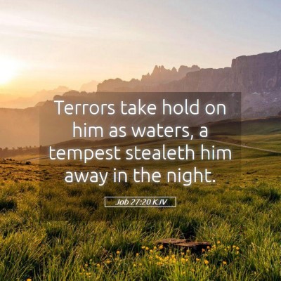 Picture 05 - Job 27:20 KJV - Terrors take hold on him as waters, a tempest - Bible Verse Picture