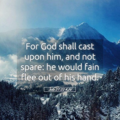 Picture 05 - Job 27:22 KJV - For God shall cast upon him, and not spare: he - Bible Verse Picture
