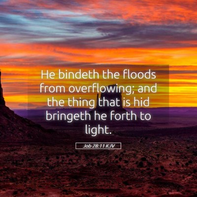 Picture 05 - Job 28:11 KJV - He bindeth the floods from overflowing; and the - Bible Verse Picture