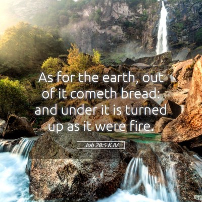 Picture 05 - Job 28:5 KJV - As for the earth, out of it cometh bread: and - Bible Verse Picture