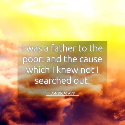 Picture 05 - Job 29:16 KJV - I was a father to the poor: and the cause which I - Bible Verse Picture