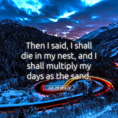 Picture 05 - Job 29:18 KJV - Then I said, I shall die in my nest, and I shall - Bible Verse Picture
