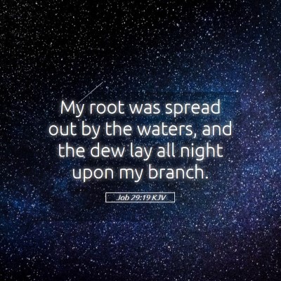Picture 05 - Job 29:19 KJV - My root was spread out by the waters, and the dew - Bible Verse Picture