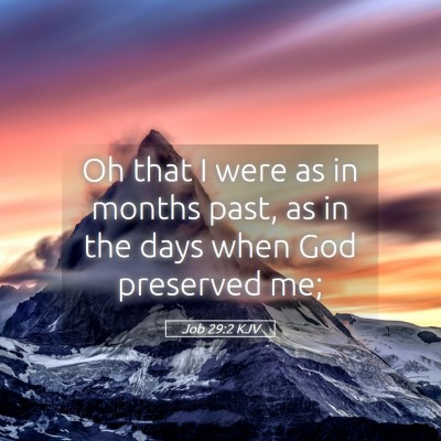 Picture 05 - Job 29:2 KJV - Oh that I were as in months past, as in the days - Bible Verse Picture
