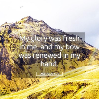 Picture 05 - Job 29:20 KJV - My glory was fresh in me, and my bow was renewed - Bible Verse Picture