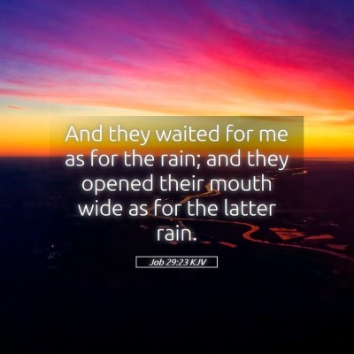 Picture 05 - Job 29:23 KJV - And they waited for me as for the rain; and they - Bible Verse Picture