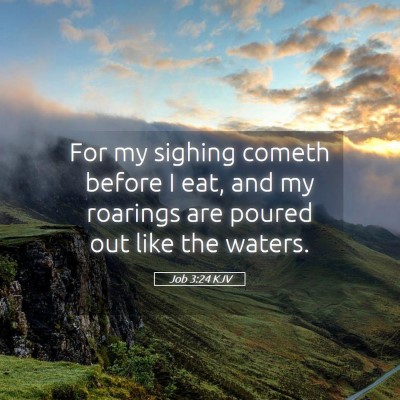 Picture 05 - Job 3:24 KJV - For my sighing cometh before I eat, and my - Bible Verse Picture