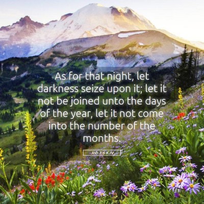 Picture 05 - Job 3:6 KJV - As for that night, let darkness seize upon it; - Bible Verse Picture