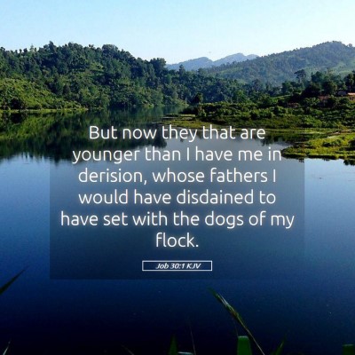 Picture 05 - Job 30:1 KJV - But now they that are younger than I have me in - Bible Verse Picture