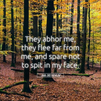 Picture 05 - Job 30:10 KJV - They abhor me, they flee far from me, and spare - Bible Verse Picture