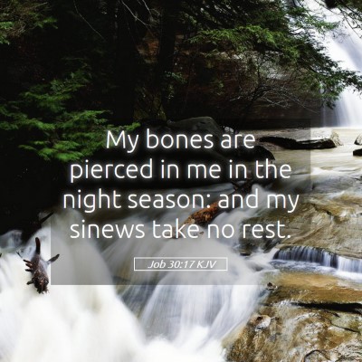 Picture 05 - Job 30:17 KJV - My bones are pierced in me in the night season: - Bible Verse Picture
