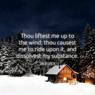 Picture 05 - Job 30:22 KJV - Thou liftest me up to the wind; thou causest me - Bible Verse Picture