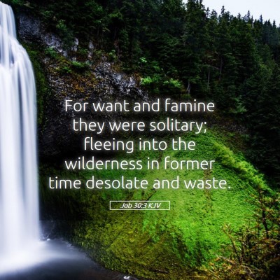 Picture 05 - Job 30:3 KJV - For want and famine they were solitary; fleeing - Bible Verse Picture
