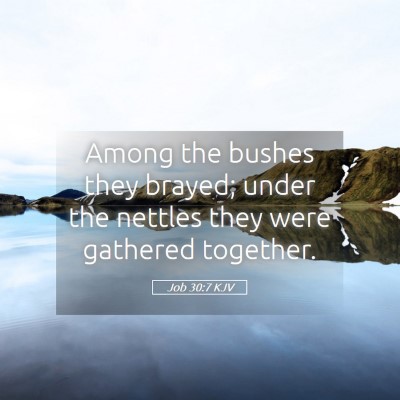 Picture 05 - Job 30:7 KJV - Among the bushes they brayed; under the nettles - Bible Verse Picture