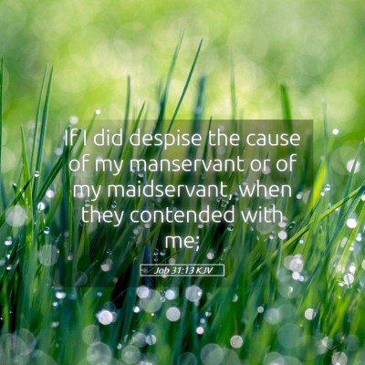 Picture 05 - Job 31:13 KJV - If I did despise the cause of my manservant or of - Bible Verse Picture
