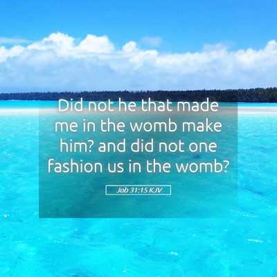 Picture 05 - Job 31:15 KJV - Did not he that made me in the womb make him? and - Bible Verse Picture
