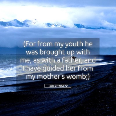 Picture 05 - Job 31:18 KJV - (For from my youth he was brought up with me, as - Bible Verse Picture