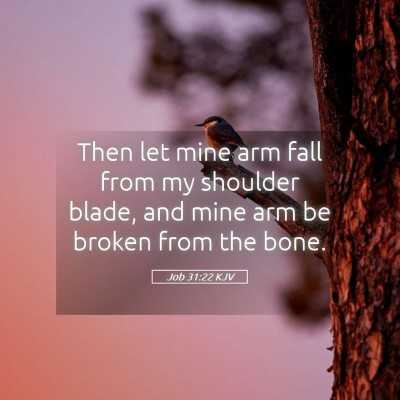 Picture 05 - Job 31:22 KJV - Then let mine arm fall from my shoulder blade, - Bible Verse Picture