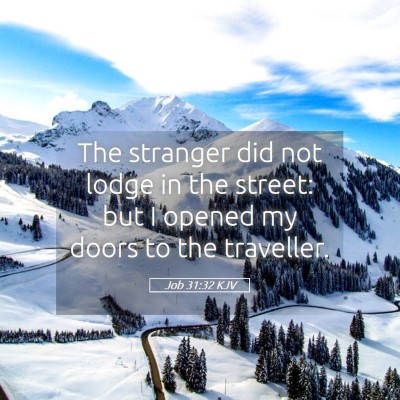 Picture 05 - Job 31:32 KJV - The stranger did not lodge in the street: but I - Bible Verse Picture