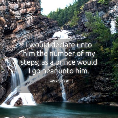 Picture 05 - Job 31:37 KJV - I would declare unto him the number of my steps; - Bible Verse Picture