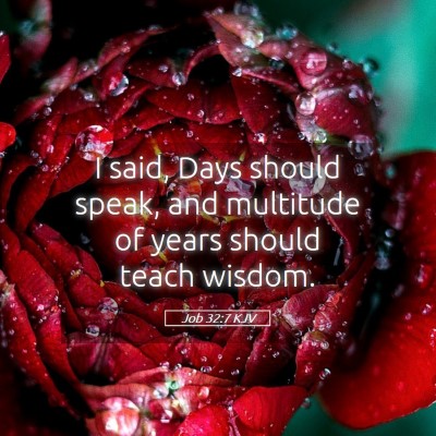 Picture 05 - Job 32:7 KJV - I said, Days should speak, and multitude of years - Bible Verse Picture