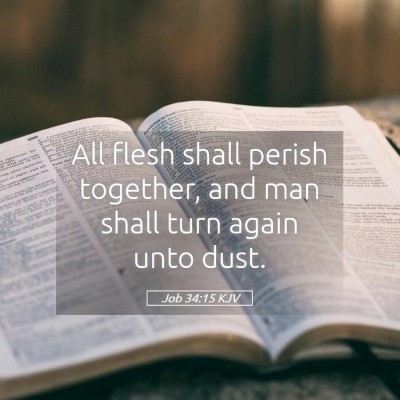 Picture 05 - Job 34:15 KJV - All flesh shall perish together, and man shall - Bible Verse Picture