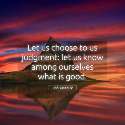 Picture 05 - Job 34:4 KJV - Let us choose to us judgment: let us know among - Bible Verse Picture