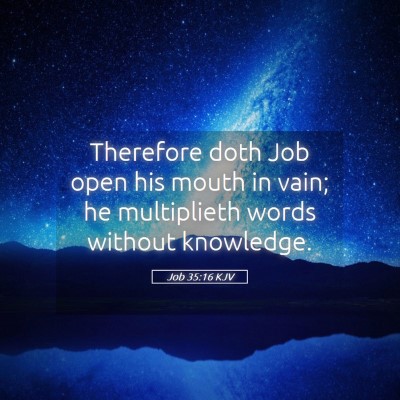 Picture 05 - Job 35:16 KJV - Therefore doth Job open his mouth in vain; he - Bible Verse Picture