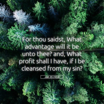 Picture 05 - Job 35:3 KJV - For thou saidst, What advantage will it be unto - Bible Verse Picture