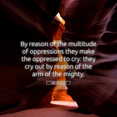 Picture 05 - Job 35:9 KJV - By reason of the multitude of oppressions they - Bible Verse Picture