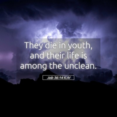 Picture 05 - Job 36:14 KJV - They die in youth, and their life is among the - Bible Verse Picture