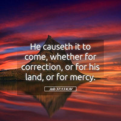 Picture 05 - Job 37:13 KJV - He causeth it to come, whether for correction, or - Bible Verse Picture