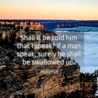 Picture 05 - Job 37:20 KJV - Shall it be told him that I speak? if a man - Bible Verse Picture