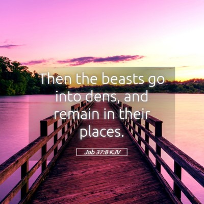Picture 05 - Job 37:8 KJV - Then the beasts go into dens, and remain in their - Bible Verse Picture