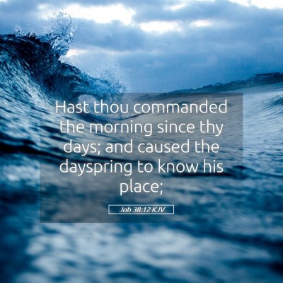 Picture 05 - Job 38:12 KJV - Hast thou commanded the morning since thy days; - Bible Verse Picture
