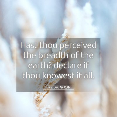 Picture 05 - Job 38:18 KJV - Hast thou perceived the breadth of the earth? - Bible Verse Picture