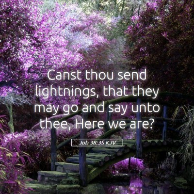 Picture 05 - Job 38:35 KJV - Canst thou send lightnings, that they may go and - Bible Verse Picture