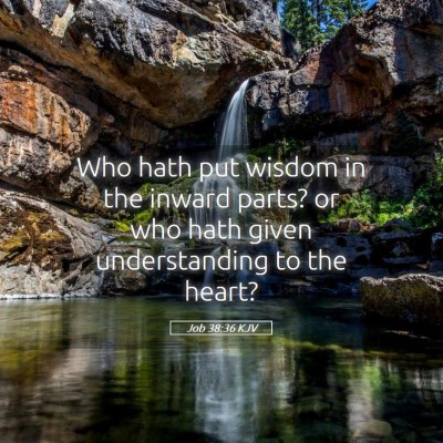 Picture 05 - Job 38:36 KJV - Who hath put wisdom in the inward parts? or who - Bible Verse Picture
