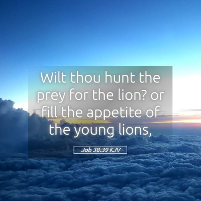 Picture 05 - Job 38:39 KJV - Wilt thou hunt the prey for the lion? or fill the - Bible Verse Picture