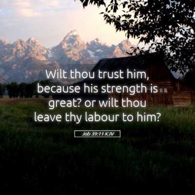 Picture 05 - Job 39:11 KJV - Wilt thou trust him, because his strength is - Bible Verse Picture