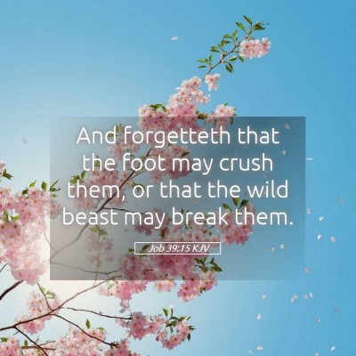 Picture 05 - Job 39:15 KJV - And forgetteth that the foot may crush them, or - Bible Verse Picture