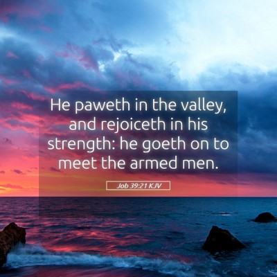 Picture 05 - Job 39:21 KJV - He paweth in the valley, and rejoiceth in his - Bible Verse Picture