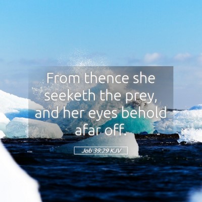 Picture 05 - Job 39:29 KJV - From thence she seeketh the prey, and her eyes - Bible Verse Picture