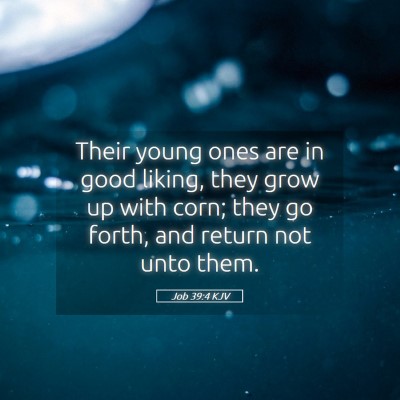 Picture 05 - Job 39:4 KJV - Their young ones are in good liking, they grow up - Bible Verse Picture