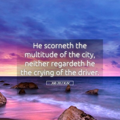 Picture 05 - Job 39:7 KJV - He scorneth the multitude of the city, neither - Bible Verse Picture