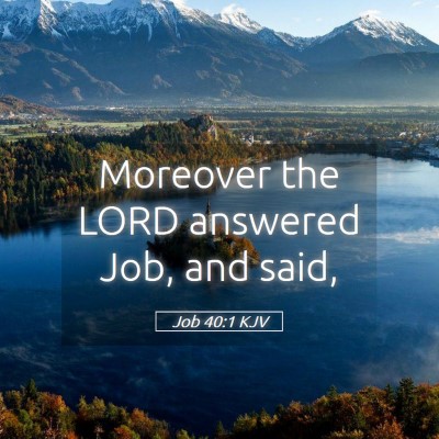 Picture 05 - Job 40:1 KJV - Moreover the LORD answered Job, and - Bible Verse Picture
